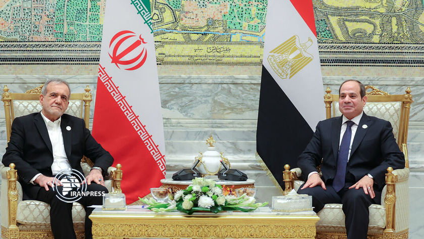 Iran, Egypt Presidents Hope for Continued Positive Relations