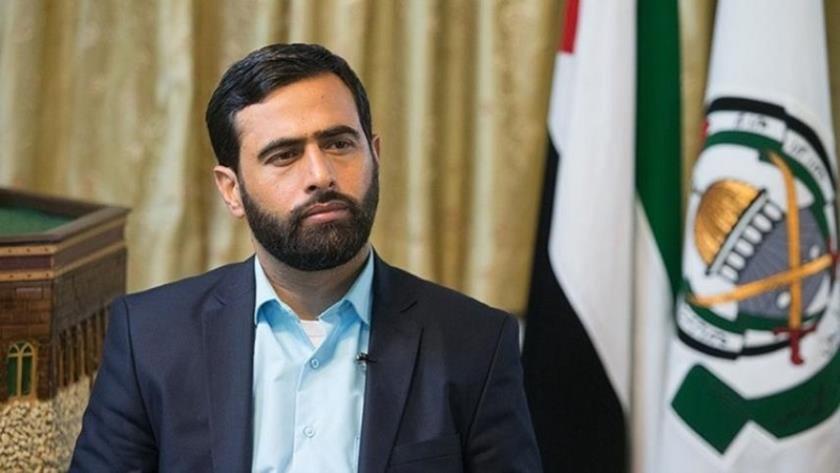 Iranpress: Hamas Official: UAE after embellishing Israeli face