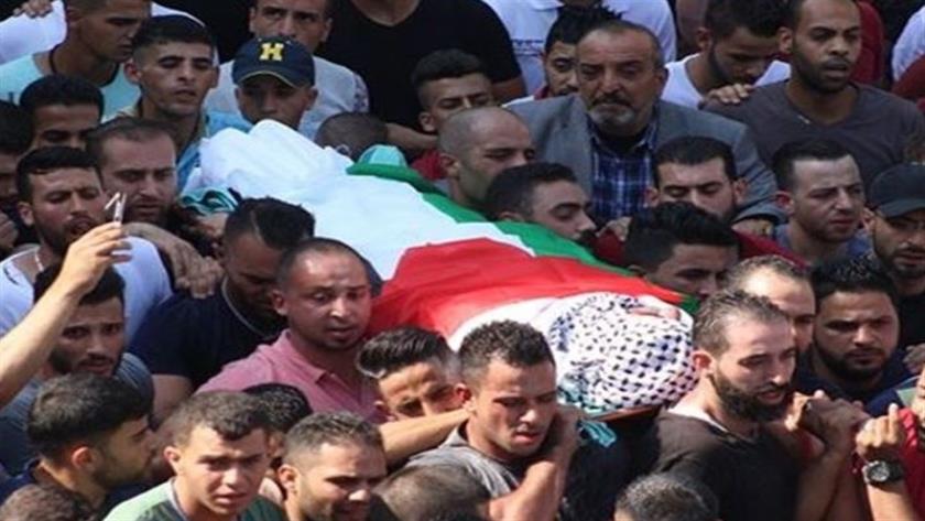 Iranpress: Palestinian detainee martyred in Israeli prison
