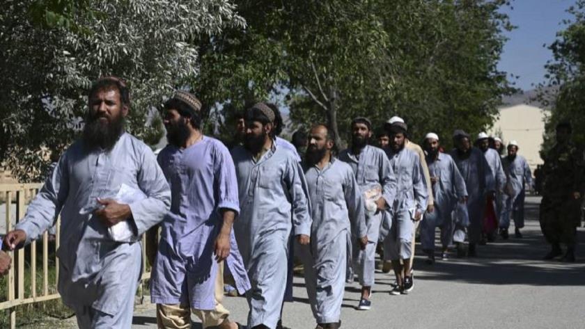 Iranpress: Afghan government frees more Taliban prisoners