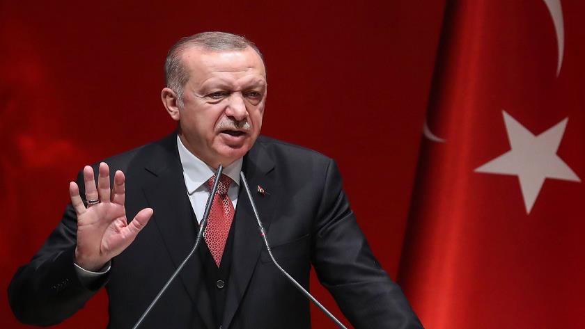 Iranpress: Turkish President slams his French counterpart
