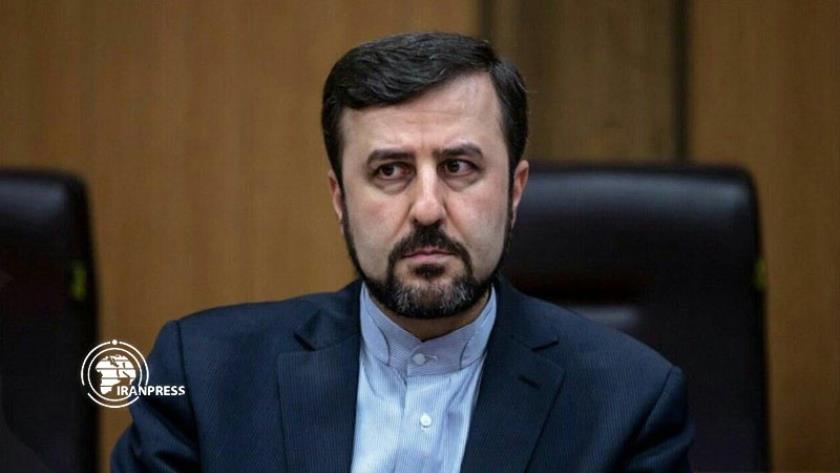 Iranpress: Ambassador reacts to IAEA DG