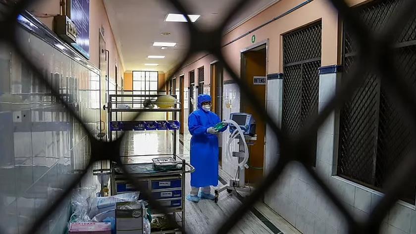 Iranpress: Global coronavirus cases top 39.8 million