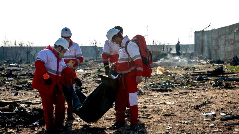 Iranpress: Iran handle Ukrainian plane crash case fairly : Official