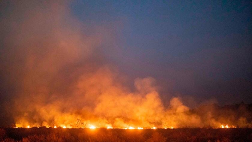 Iranpress: Deadly Colorado wildfire tears through Rocky Mountain National Park
