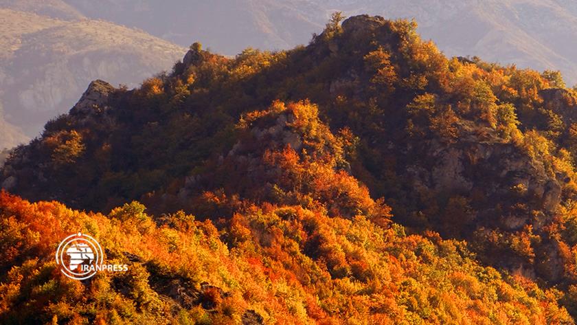 Iranpress: Virtual travel in Iran; mesmerizing autumn in Golestan province