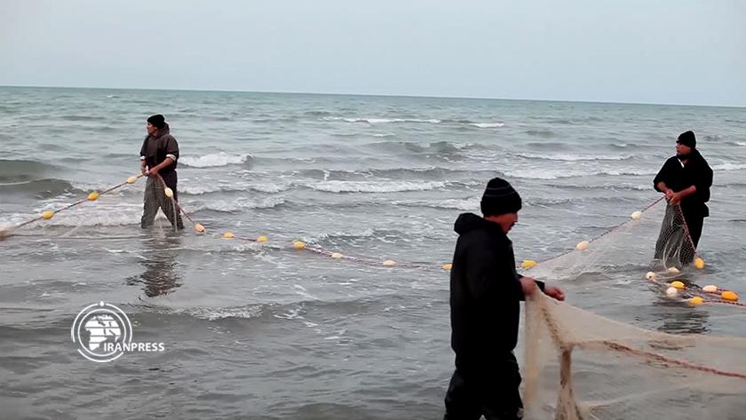 Iranpress: Iran starts fishing in Caspian Sea