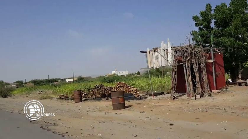 Iranpress: Yemenis accuse Saudi of preventing them to return homes