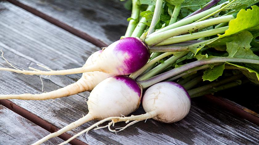 Iranpress: Turnips, part of a healthy diet for autumn