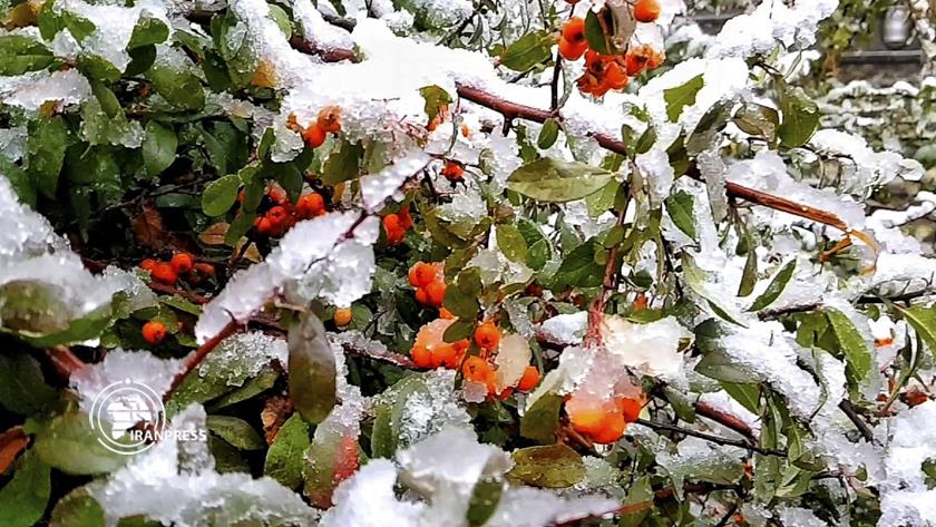 Iranpress: First autumn snowfall blankets Iran