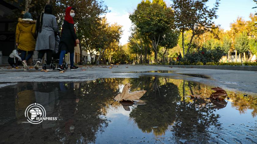 Iranpress: Isfahan Chaharbagh is more beautiful in autumn