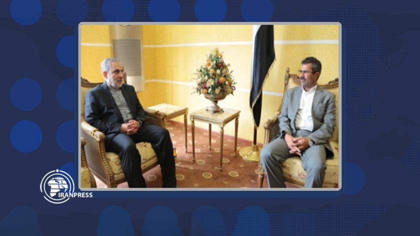 Iranpress: Iran ready to transfer experience of electricity generation to Yemen