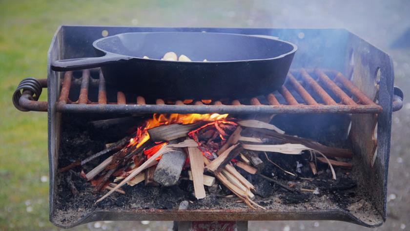 Iranpress: Cooking with wood may be harmful