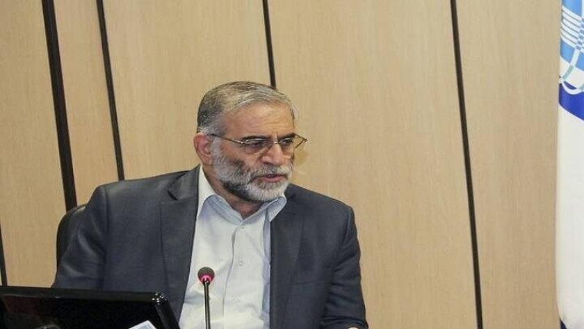 Iranpress: Iranian ambassadors condemn assassination of Martyr Fakhrizadeh