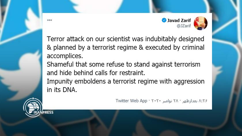 Iranpress: Attack on our scientist was indubitably planned by a terrorist regime: Zarif