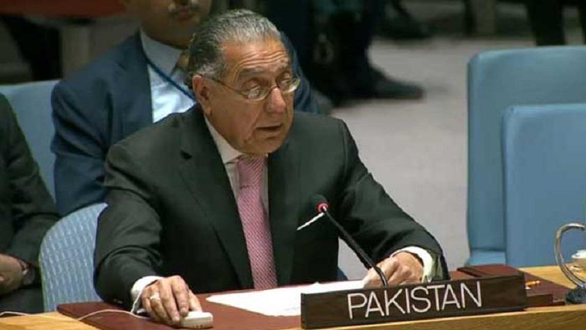 Iranpress: Pakistani Ambassador to UN stresses support of Palestinian Nation