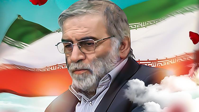 Iranpress: Israel alerts missions after assassination of Iranian scientist