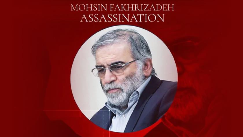 Iranpress: Envoy calls for UN decisive response over Fakhrizadeh