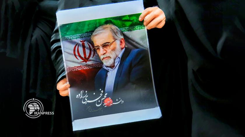 Iranpress: Iran Ministry of Intelligence identified those behind Fakhrizadeh assassination
