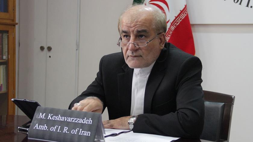 Iranpress: Iran has legitimate right to defend itself against organized terrorism: Envoy