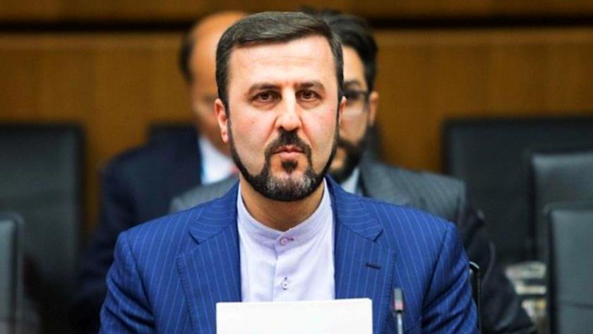 Iranpress: Tehran warns IAEA about unnecessary releasing of Iran