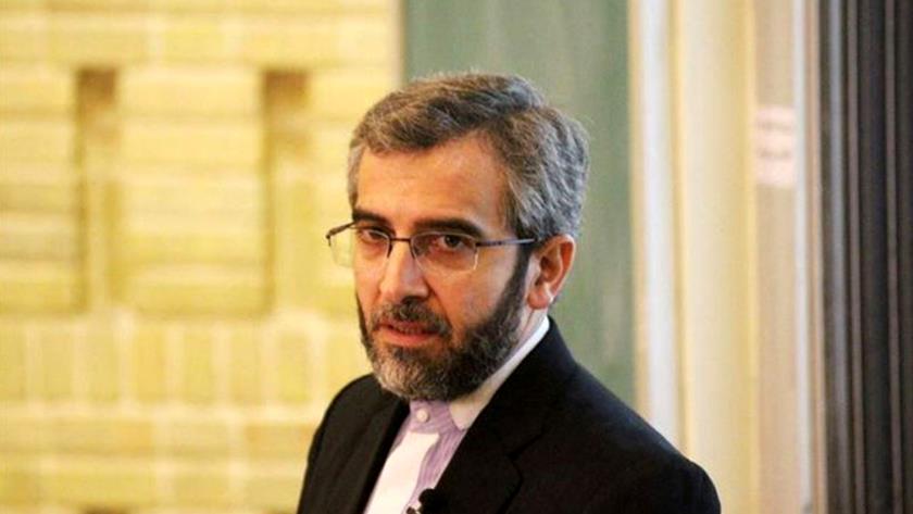 Iranpress: Iranian human rights official calls on UN to treat terrorism in Iran as in France, Austria