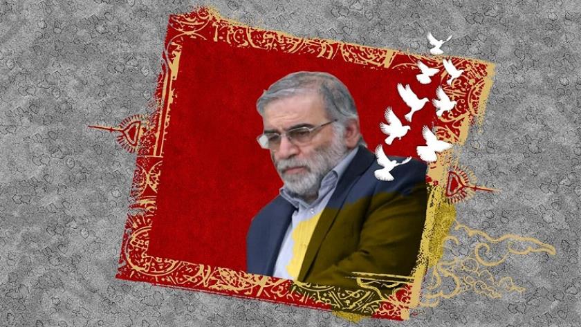 Iranpress: Zionist elements behind Fakhrizadeh assassination