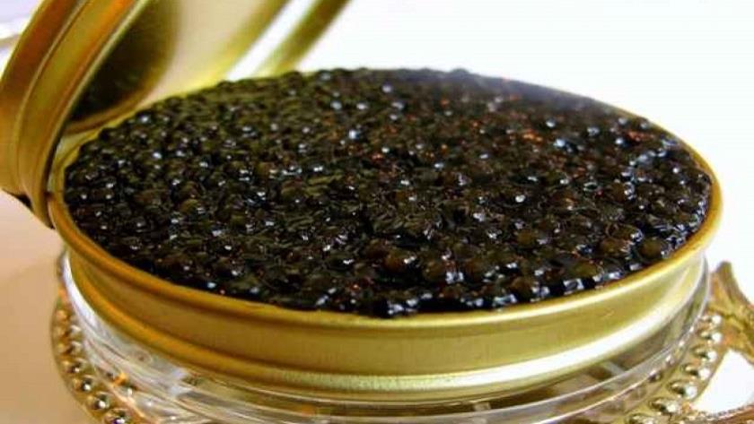 Iranpress: Europeans are still main customers of Iranian caviar