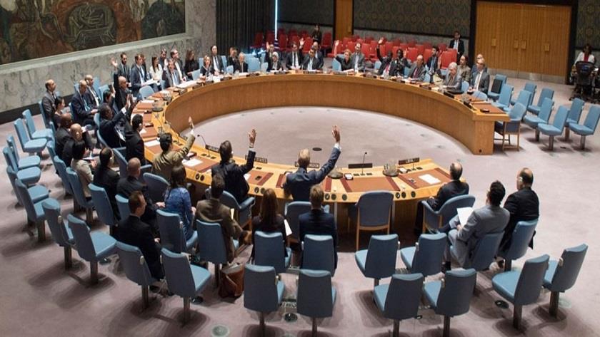 Iranpress: Security Council calls for withdrawal of foreign mercenaries from Libya
