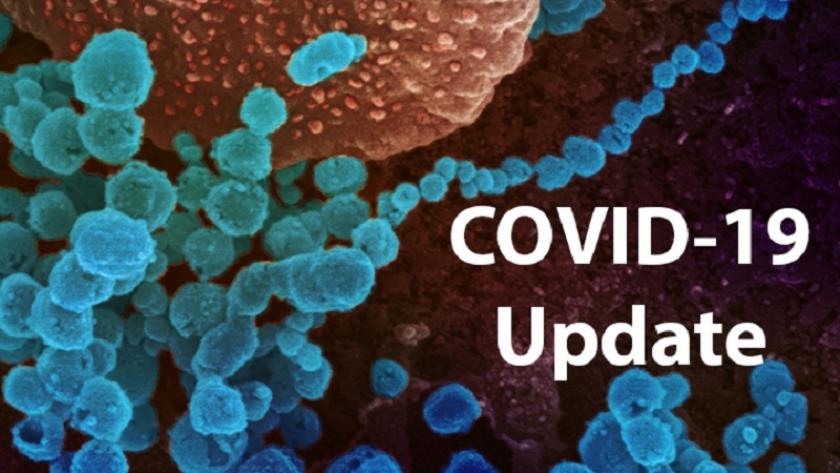 Iranpress: New coronavirus version, this time in Nigeria