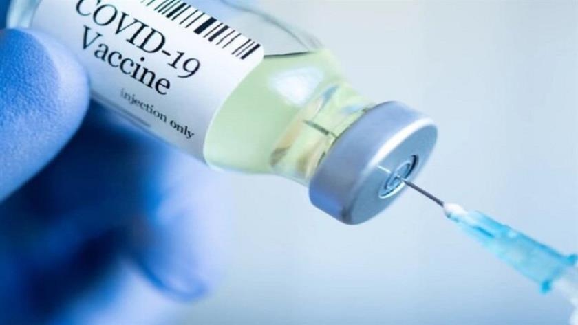 Iranpress: FDA Head: Corona vaccine to be provided on time in Iran