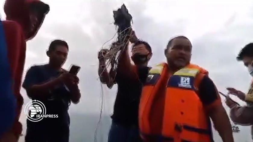 Iranpress: Footage of remains of Indonesian lost plane
