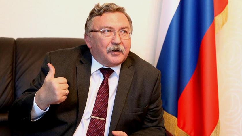 Iranpress: Ulyanov: Sanctions never change Russian main policy