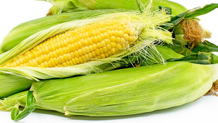 Iranpress:  Nutrition facts and health benefits of Corn