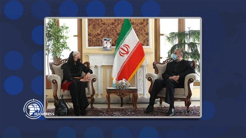 Iranpress: Iran strongly supports Iraq