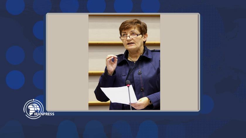 Iranpress: German member of EP urges US return to JCPOA