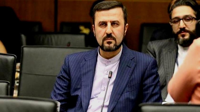 Iranpress: Envoy: Iran informed IAEA of its concern about leak of confidential information