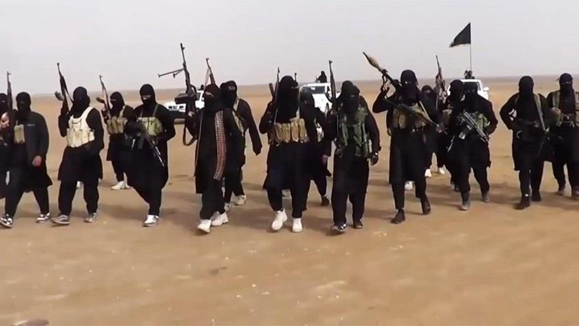 Iranpress: ISIS declares war on Yemeni Ansarullah