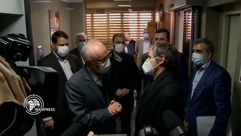 Iranpress: IAEA director holds talks with Iranian nuclear chief