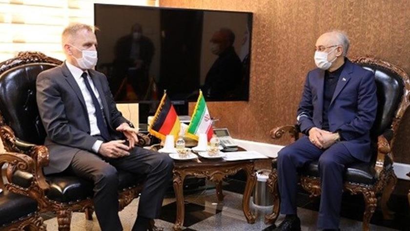 Iranpress: German ambassador in Tehran meets head of Atomic Energy Organization of Iran