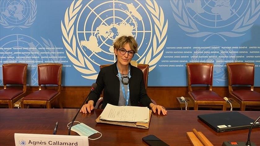 Iranpress: UN rapporteur criticizes US government inaction towards bin Salman
