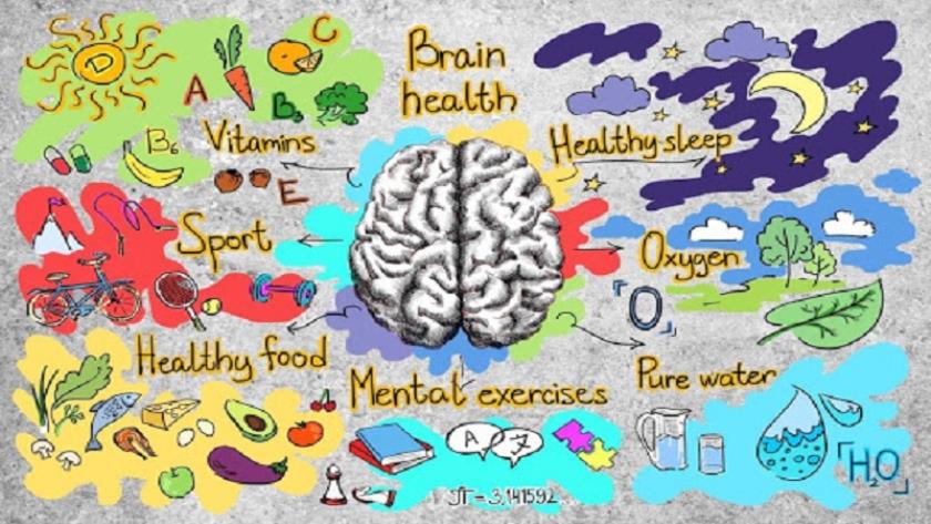 Iranpress: 10 Fun activities that keep brain healthy