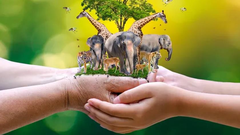 Iranpress: World Wildlife Day 2021: Forests and Livelihoods, Sustaining People and Planet