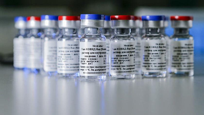 Iranpress: Third shipment of Russian corona vaccine to be send to Tehran today