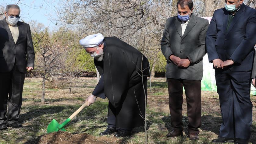 Iranpress: Preserving trees, national security: Pres. Rouhani