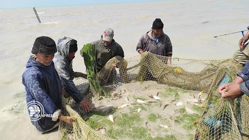 Iranpress: Fishing for bony fishes on shores of Iran