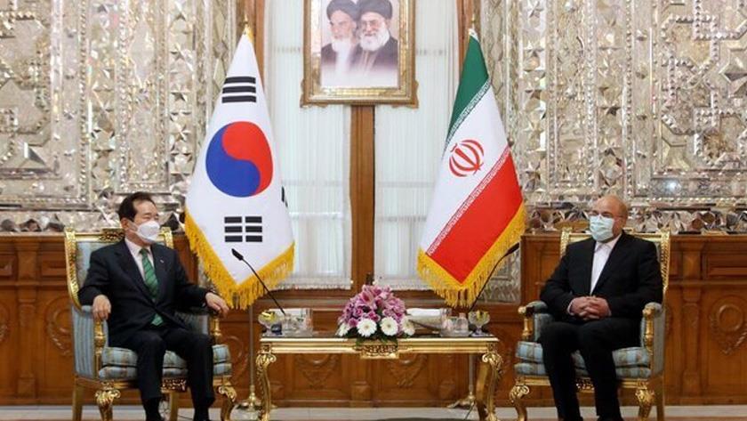 Iranpress: Tehran-Seoul relations should return before 2018