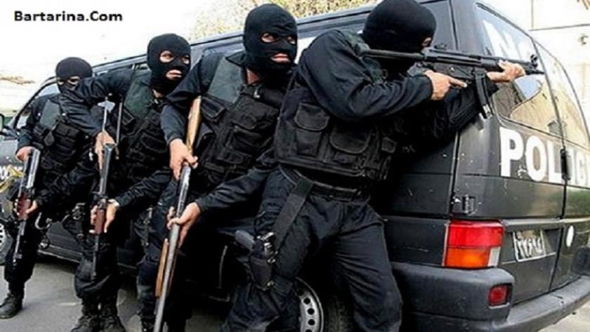 Iranpress: IRGC dismantles terrorist team in southeast of Iran