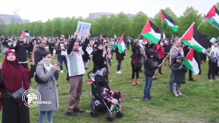 Iranpress: Pro-Palestinian rallies in Netherlands 
