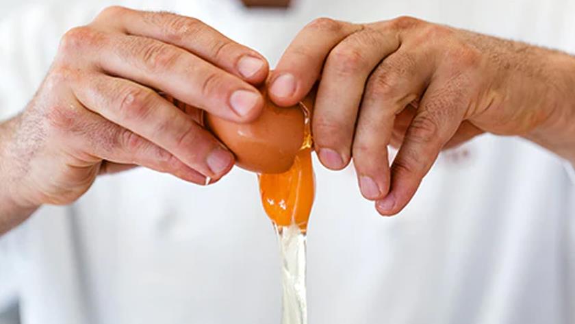 Iranpress: Eggs and their health benefits